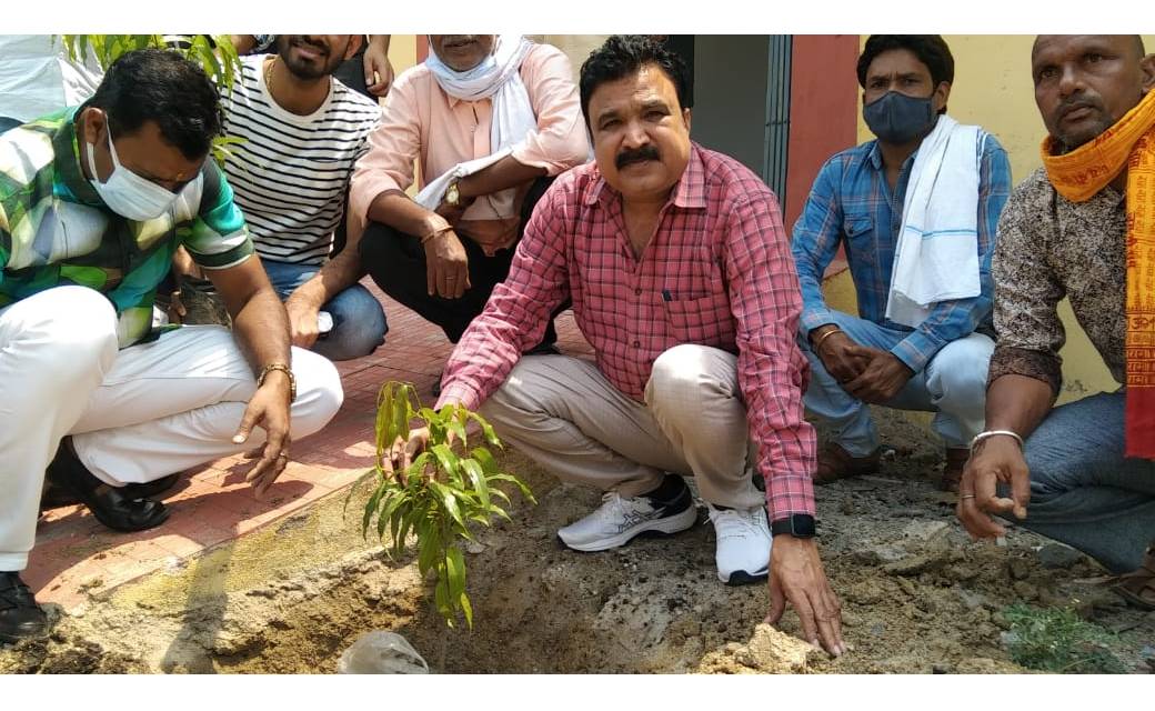 पौधा लगाना ही इतिश्री नहीं उसका संरक्षण भी नितांत आवश्यक- द्वारिकाधीश यादव।
