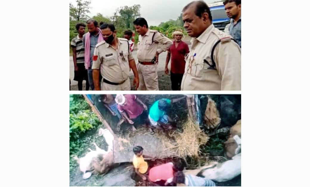 मवेशियों को ट्रक में भरकर बूचड़खाने ले जा रहे थे आरोपी.. ट्र... - CG Sandesh