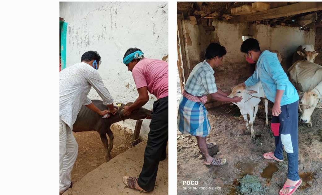 महासमुंद : गौठान ग्रामों में कृषक संगोष्ठी एवं गौठान कार्यका... - CG Sandesh