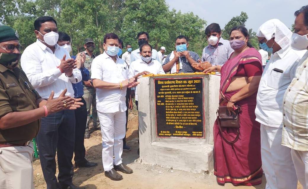 महासमुंद : धान के बदले पौधरोपण करने पर 3 वर्षों तक प्रति एकड... - CG Sandesh