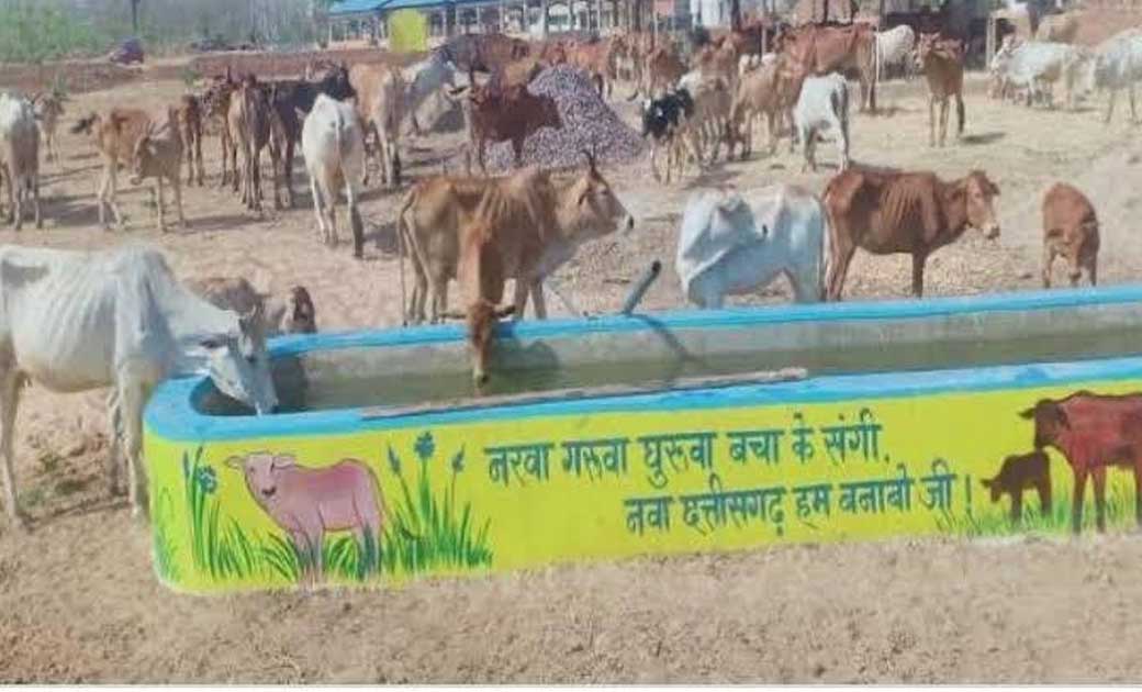 महासमुंद : रोका-छेका कार्यक्रम हेतु दिशा-निर्देश जारी, रोका-... - CG Sandesh