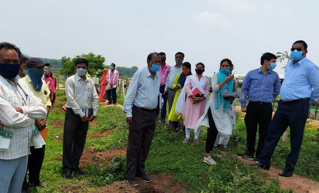 महासमुंद: गौठानों के स्वावलंबी होने पर स्व-सहायता समूह की मह... - CG Sandesh
