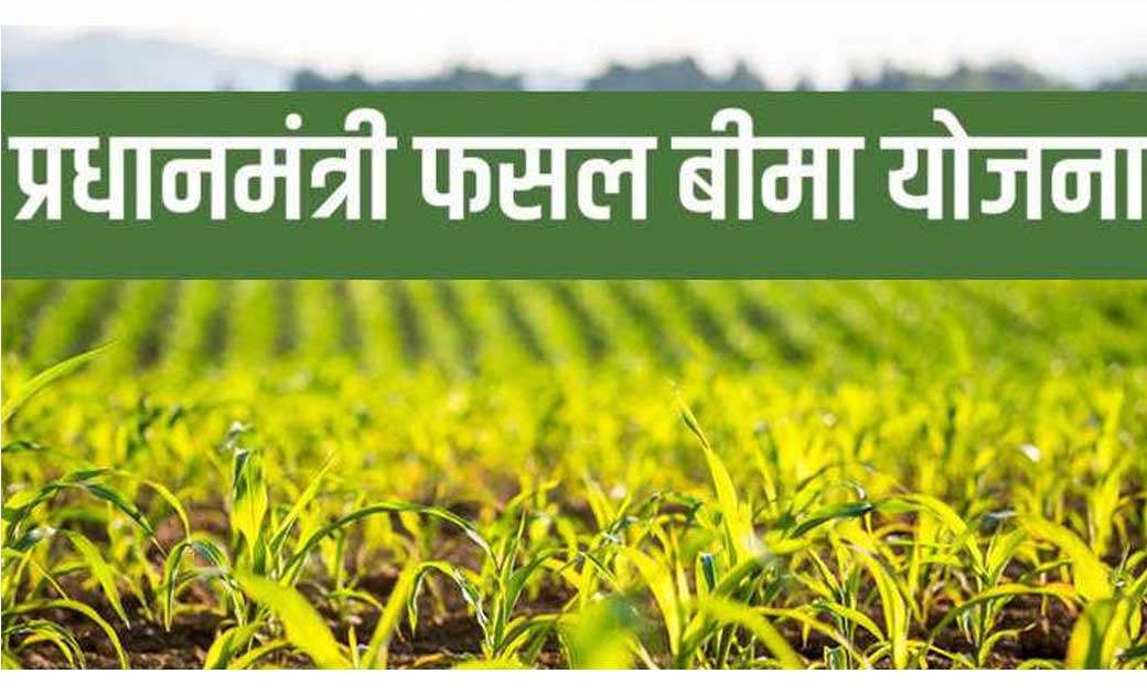 प्रधानमंत्री फसल बीमा योजना : किसान अब 31 जुलाई तक ख़रीफ़ फ़सल... - CG Sandesh
