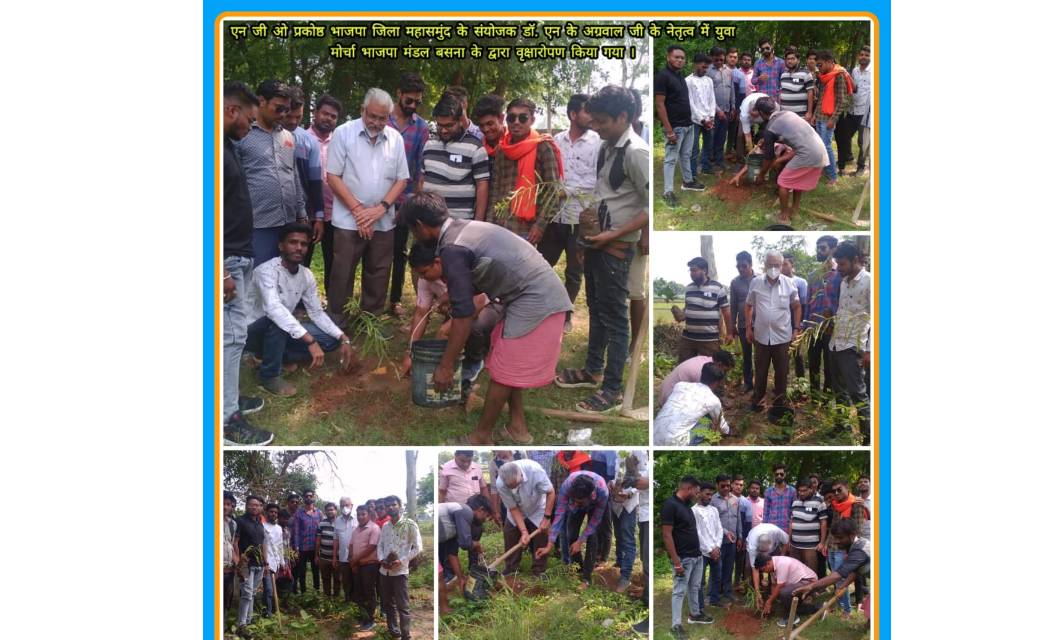 एक पौधा राष्ट्र के नाम : भारतीय जनता पार्टी के दिशा निर्देशो... - CG Sandesh