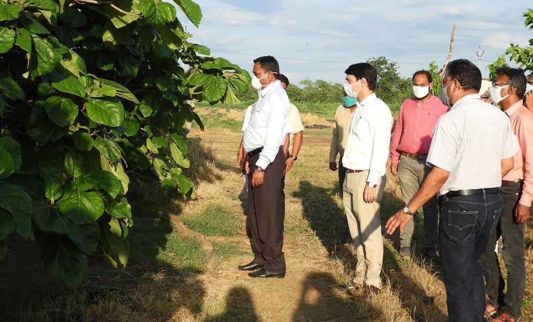महासमुंद : कलेक्टर डोमन सिंह ने किया कृषि विज्ञान केन्द्र भल... - CG Sandesh