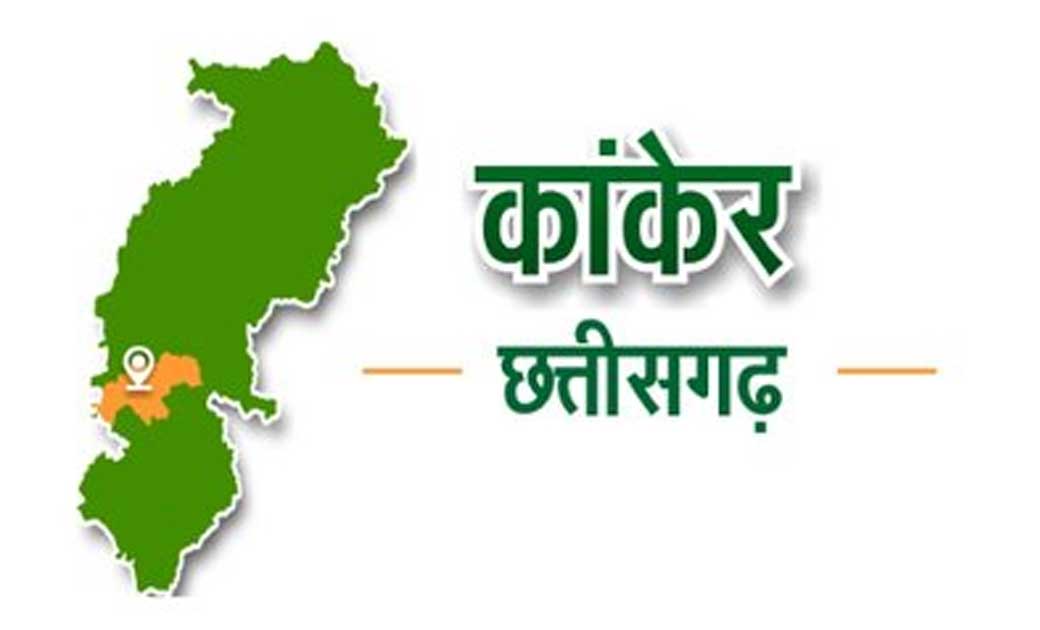 कलेक्टर द्वारा प्रशासनिक अधिकारियों के मध्य कार्य विभाजन