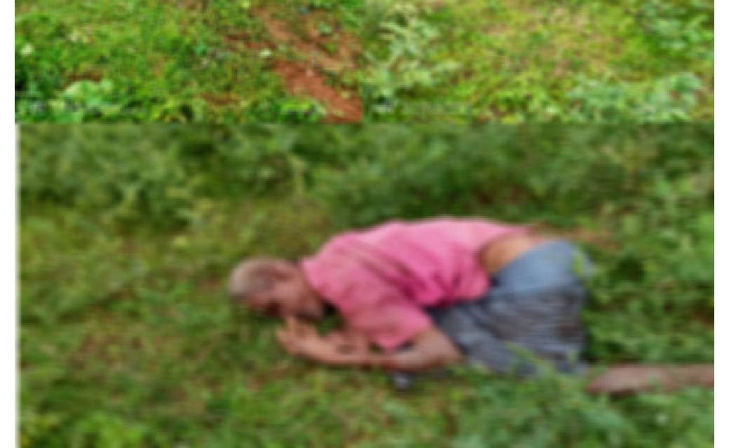 महासमुंद : बागबाहरा ब्लॉक में एक बजुर्ग को हाथी ने कुचल कर म... - CG Sandesh