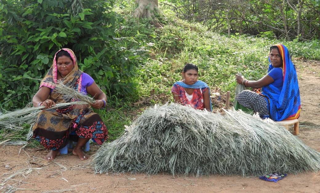 महासमुंद: सफलता की कहानी: रूखमणी बनाती खजूर पत्ते के विभिन्न... - CG Sandesh