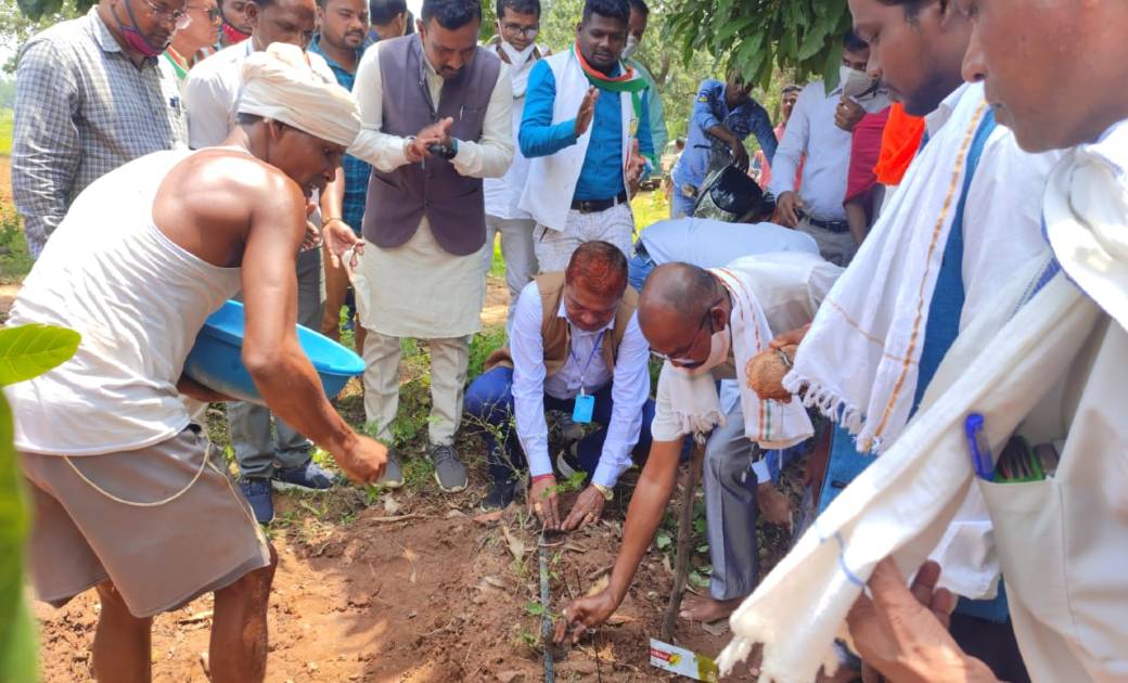 विधायक चंदन कश्यप ने किया एरोमेटिक कोण्डानार अंतर्गत पौधरोपण - CG Sandesh