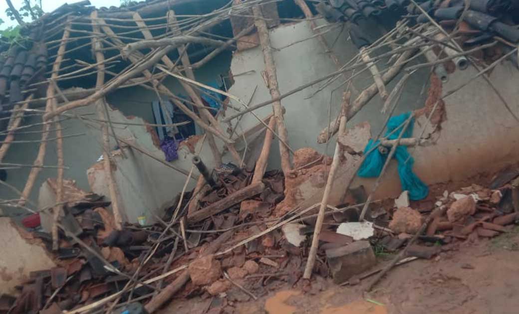 चिकनिपानी में हाथी ने तीन घरों को किया क्षतिग्रस्त, रखे धान ... - CG Sandesh