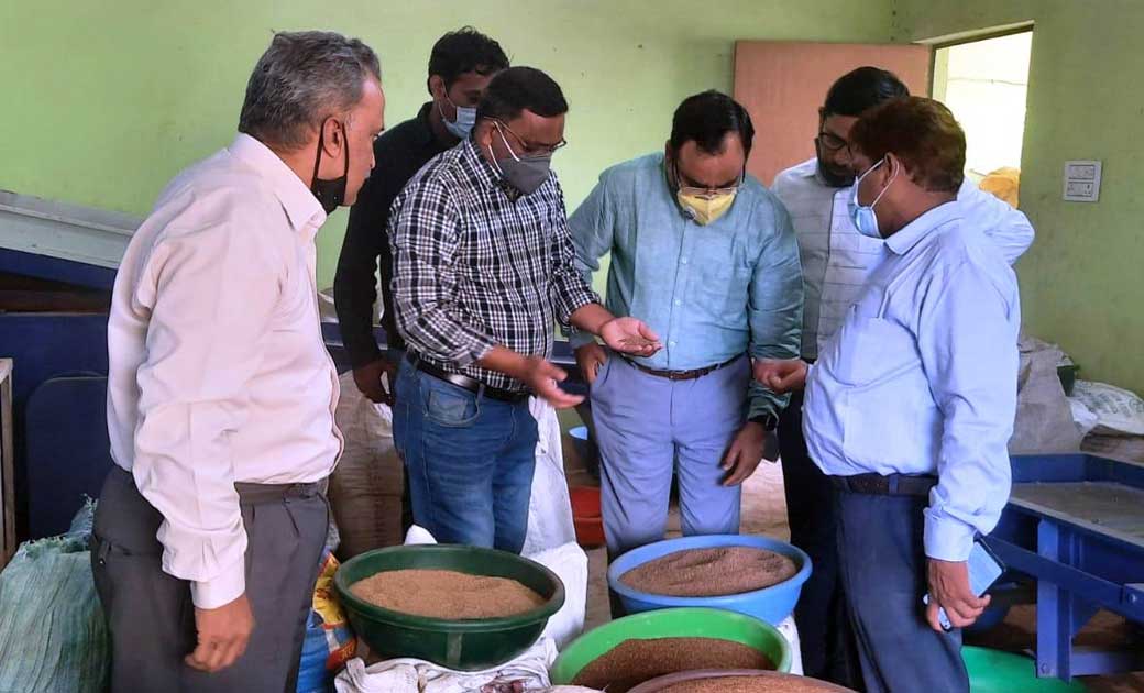 अन्तर्राष्ट्रीय चांवल अनुसंधान संस्थान के वैज्ञानिकों ने कृष... - CG Sandesh