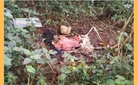 25 वर्ष की युवती का मिला नरकंकाल.... 6 सितम्बर से गायब थी यु... - CG Sandesh