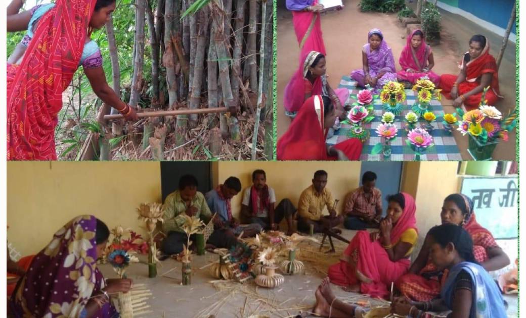 महासमुंद: सफलता की कहानी: प्रमिला की बाड़ी का बांस बना कमाई क... - CG Sandesh
