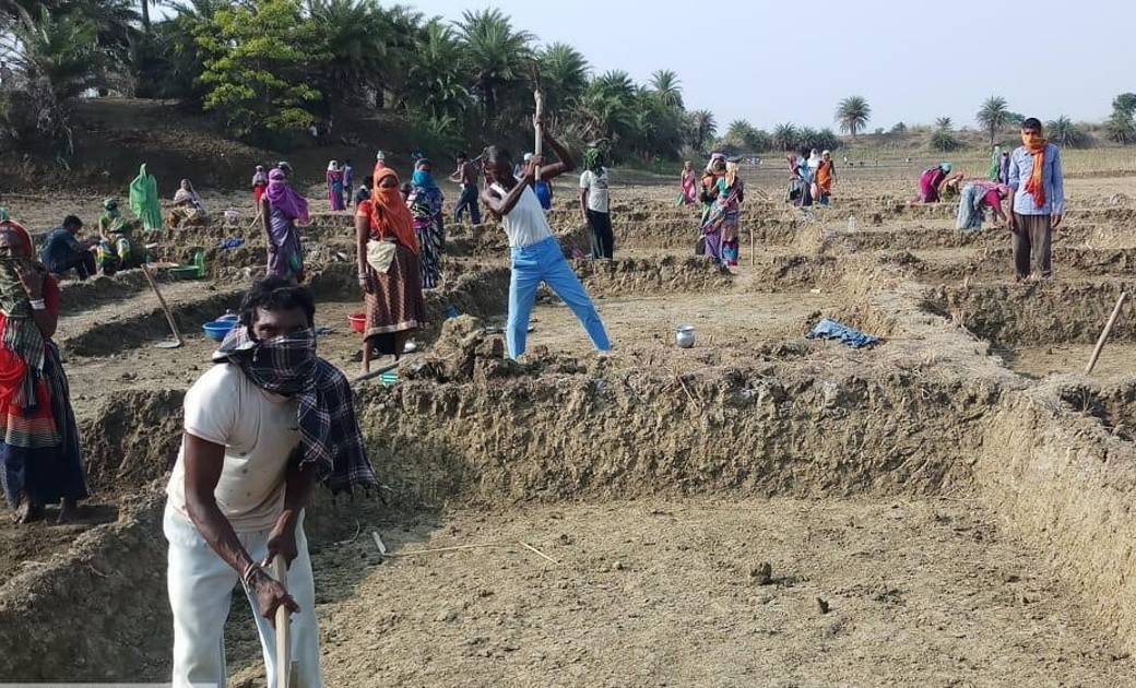 महासमुंद: मनरेगा कोरोना काल में जरूरतमंद श्रमिकों का बनी सहा... - CG Sandesh