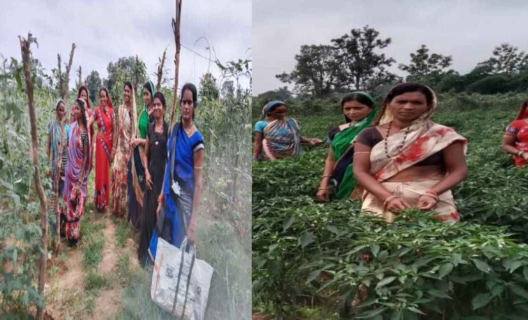 महासमुंद: कोविड के चलते टेंट का काम न चला पर आस न छोड़ी, समूह... - CG Sandesh