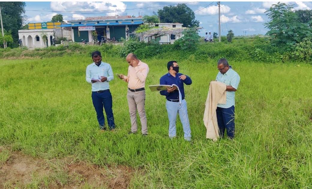 महासमुंद: जिले में फसल प्रविष्टि का 73 प्रतिशत् कार्य पूर्ण,... - CG Sandesh