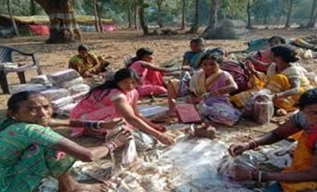 महासमुंद : महिलाएं वर्मी कम्पोस्ट एवं जैविक कीटनाशक बनाकर कम... - CG Sandesh