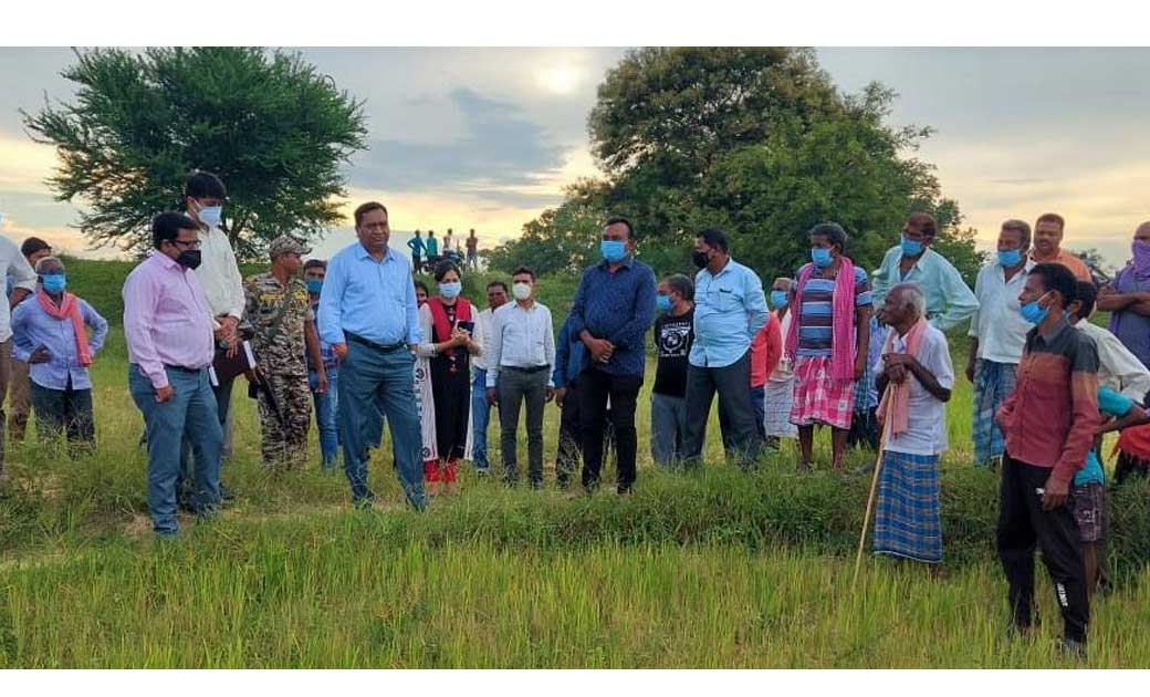 महासमुंद : कलेक्टर ने गढ़सिवनी एवं खुर्सीपार के खेतों में जाक... - CG Sandesh