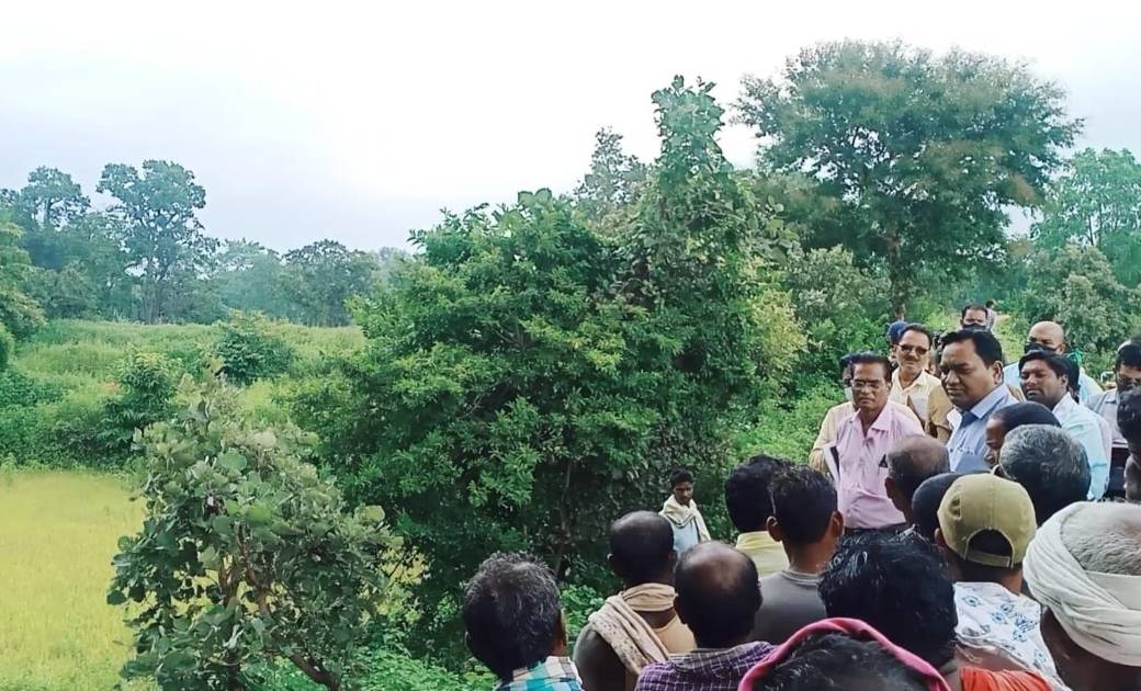 महासमुन्द: कलेक्टर ने पिथौरा के तीन गाँव जाकर फसल स्थिति का ... - CG Sandesh