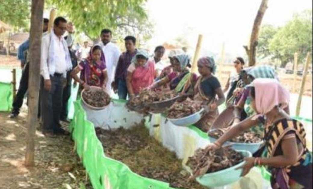 महासमुंद : तीजा-पोरा पर मुख्यमंत्री भूपेश बघेल ने समूह की मह... - CG Sandesh