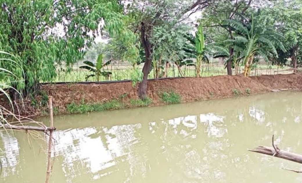 महासमुंद :पानी बचाने डबरी, तालाब और तालाब गहरीकरण पर जोर, दो... - CG Sandesh