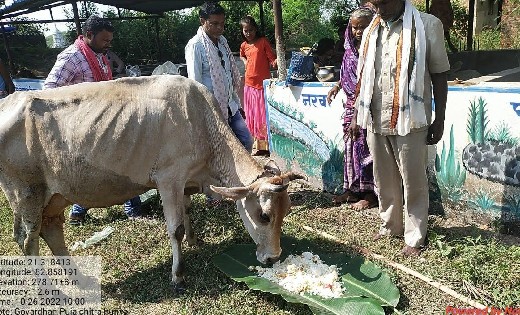 महासमुंद : पूरे उत्साह से की गोवर्धन पूजा’ मनाया गौठान दिवस,... - CG Sandesh