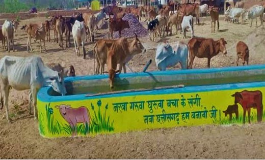महासमुंद : गोवर्धन पूजा के दिन गौठानों में मनाया जाएगा गौठान... - CG Sandesh