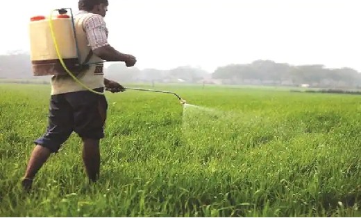 महासमुंद : सुरक्षा कारणों से ग्लाइफोसेट (खरपतवार नाशक) उपयोग... - CG Sandesh