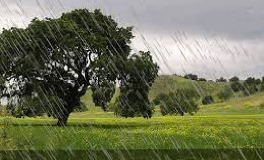 महासमुंद जिले में अब तक 1180.5 मिलीमीटर औसत वर्षा दर्ज - CG Sandesh