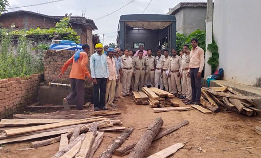 महासमुंद : वन विभाग ने जप्त की 1.15 लाख रुपये की लकड़ी. - CG Sandesh