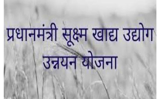 महासमुंद : प्रधानमंत्री सूक्ष्म खाद्य योजना वर्ष 2022-23, पी... - CG Sandesh