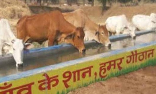 गोबर खरीदी की धीमी गति पर नाराज हुए कलेक्टर - CG Sandesh