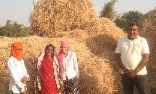 महासमुंद : पशुचारा के लिए किसानों ने 93 हजार क्विंटल से अधिक... - CG Sandesh