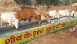 गोठानों में 21 से 23 नवम्बर तक सरकारी योजनाओं की दी जाएगी जा... - CG Sandesh