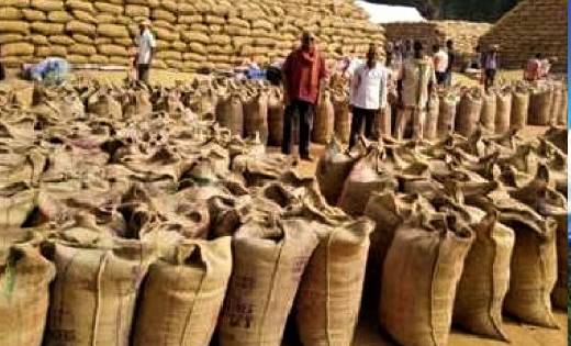 महासमुंद: अब तक एक लाख 23 हजार से ज्यादा किसान बेच चुके अपना... - CG Sandesh