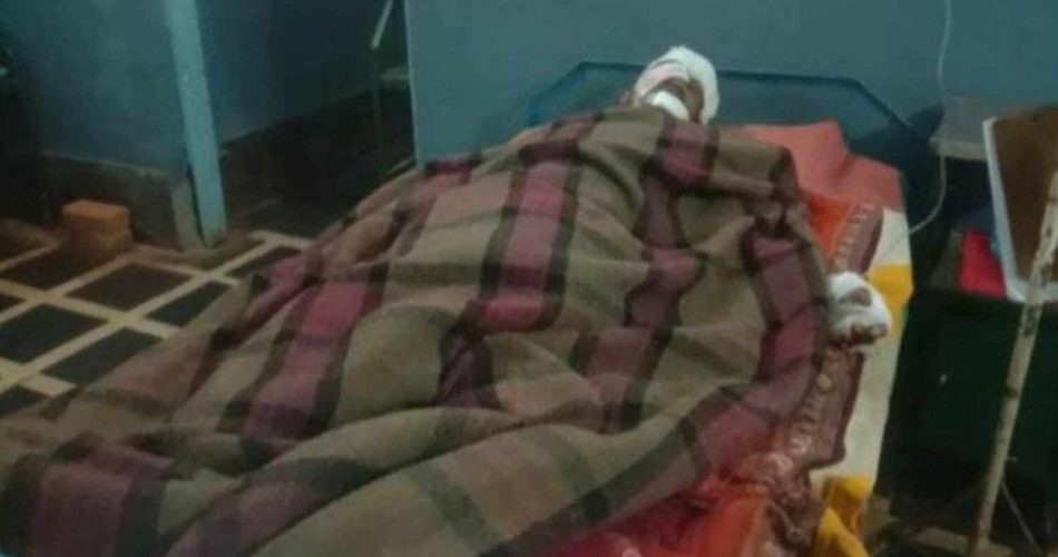बुजुर्ग पर भालू ने किया जानलेवा हमला, हालत गंभीर - CG Sandesh