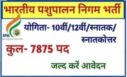 बीपीएनएल में 10वीं से लेकर स्नातकोत्तर तक के उम्मीदवारों के ... - CG Sandesh