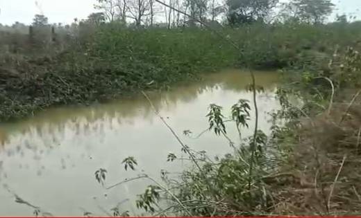 महासमुंद : मछली मारने के लिए तालाब गए हुए 2 ग्रामीणों की हुई... - CG Sandesh