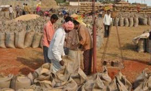 महासमुंद : जिले में हुई गत वर्ष की अपेक्षा अधिक धान खरीदी. - CG Sandesh