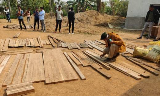 महासमुंद: 1.5 लाख रुपये की सागौन चिरान एवं सागौन लट्ठा जब्त - CG Sandesh