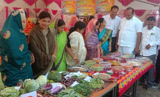अंतरराष्ट्रीय महिला दिवस के अवसर पर महिला जागृति शिविर का हु... - CG Sandesh