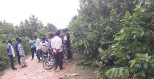 जंगल मे मिली माँ-बेटी की लाश, मचा हड़कंप, जांच में जुटी पुलिस - CG Sandesh