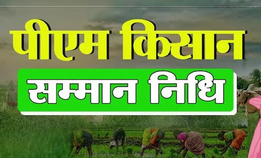 महासमुंद: कलेक्टर ने पीएम किसान योजना अंतर्गत 31 मार्च तक अन... - CG Sandesh