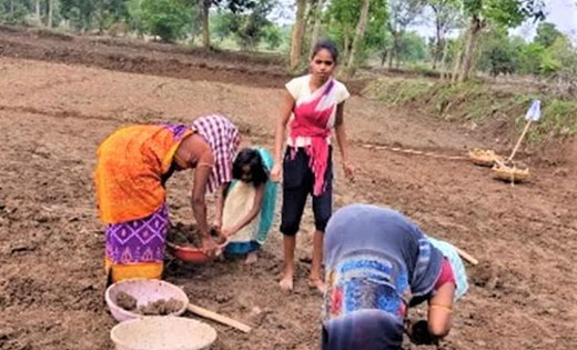 महासमुंद : पूनम दास कभी खुद करती थी मजदूरी, अब महिला मेट बन ... - CG Sandesh