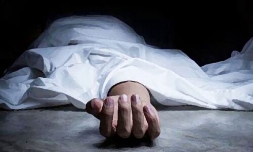पत्नी ने पत्थर से कुचलकर की पति की हत्या, सोते हुए सुलाया मौ... - CG Sandesh