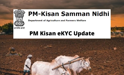 पीएम किसान सम्मान निधि योजना अंतर्गत पंजीकृत समस्त किसानों क... - CG Sandesh