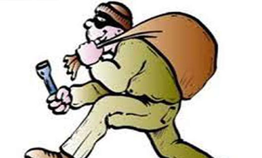 सिंघोड़ा : गोठान से सबमर्सिबल पंप व केबल तार सहित 20 हजार की चोरी.