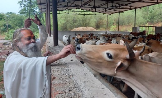 महासमुंद : नरवा गरवा घुरवा बारी का सर्वाधिक काम महासमुंद जिल... - CG Sandesh