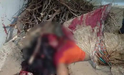  महासमुंद : इस वजह से सनकी पति ने कुल्हाड़ी से काट दी थी पत्न... - CG Sandesh