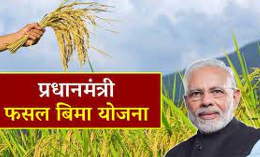 महासमुंद : ऋणी किसान जो फसल बीमा में शामिल नहीं होना चाहते व... - CG Sandesh